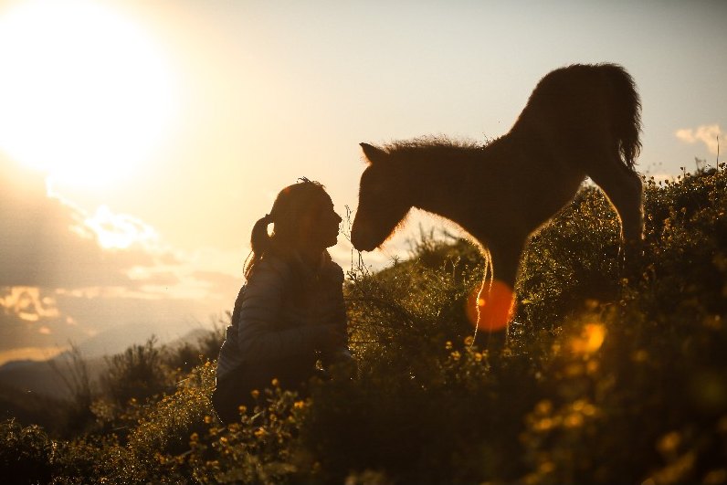 Bambina e cavallo controluce al tramonto